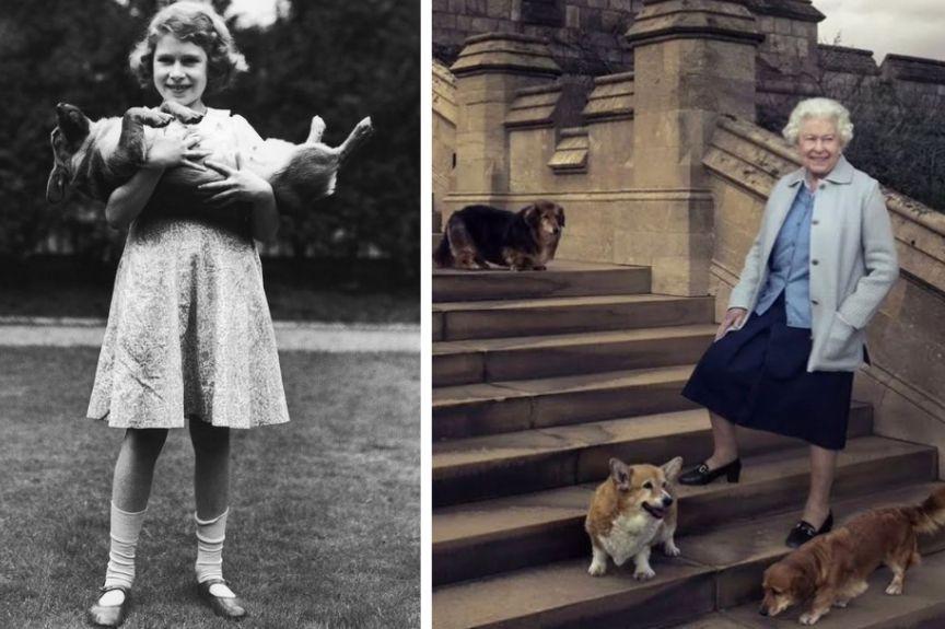  Nie żyje królowa Elżbieta II, wielka miłośniczka psów