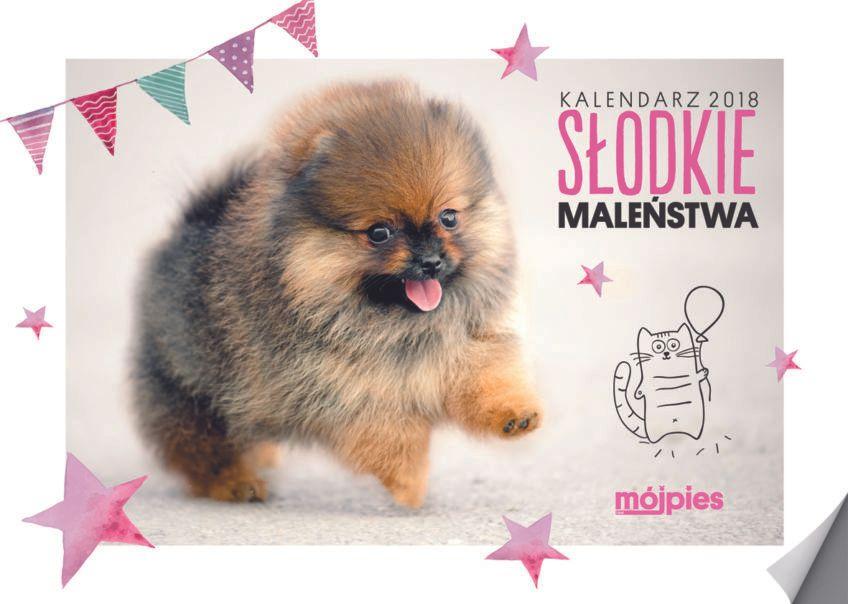 mój pies i kot kalendarz