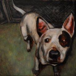 102._tilly_2-18-2011.jpg