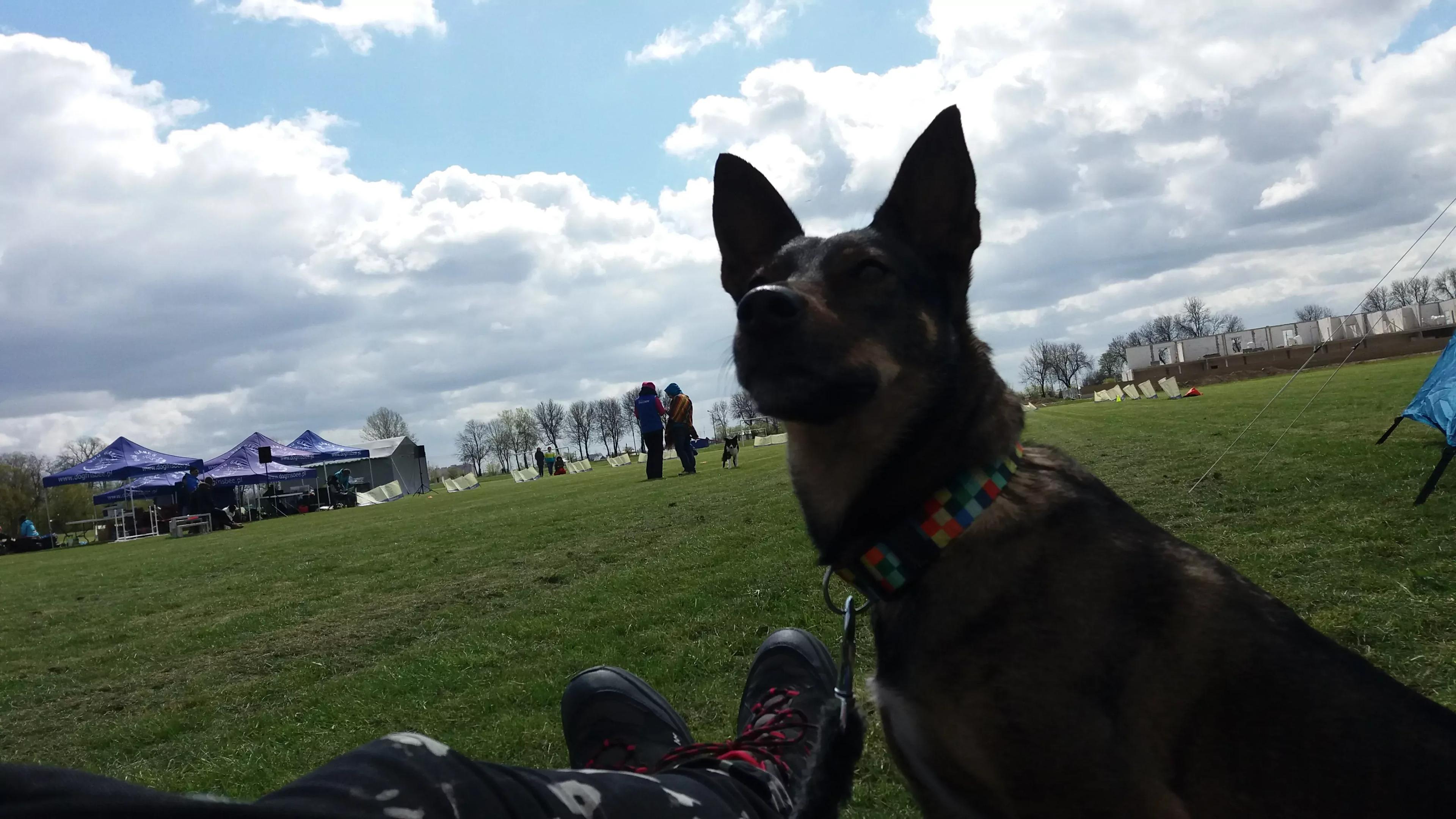 20170422_115449-1.jpg.webp