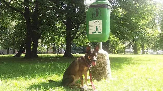 20170607_141550.jpg.webp