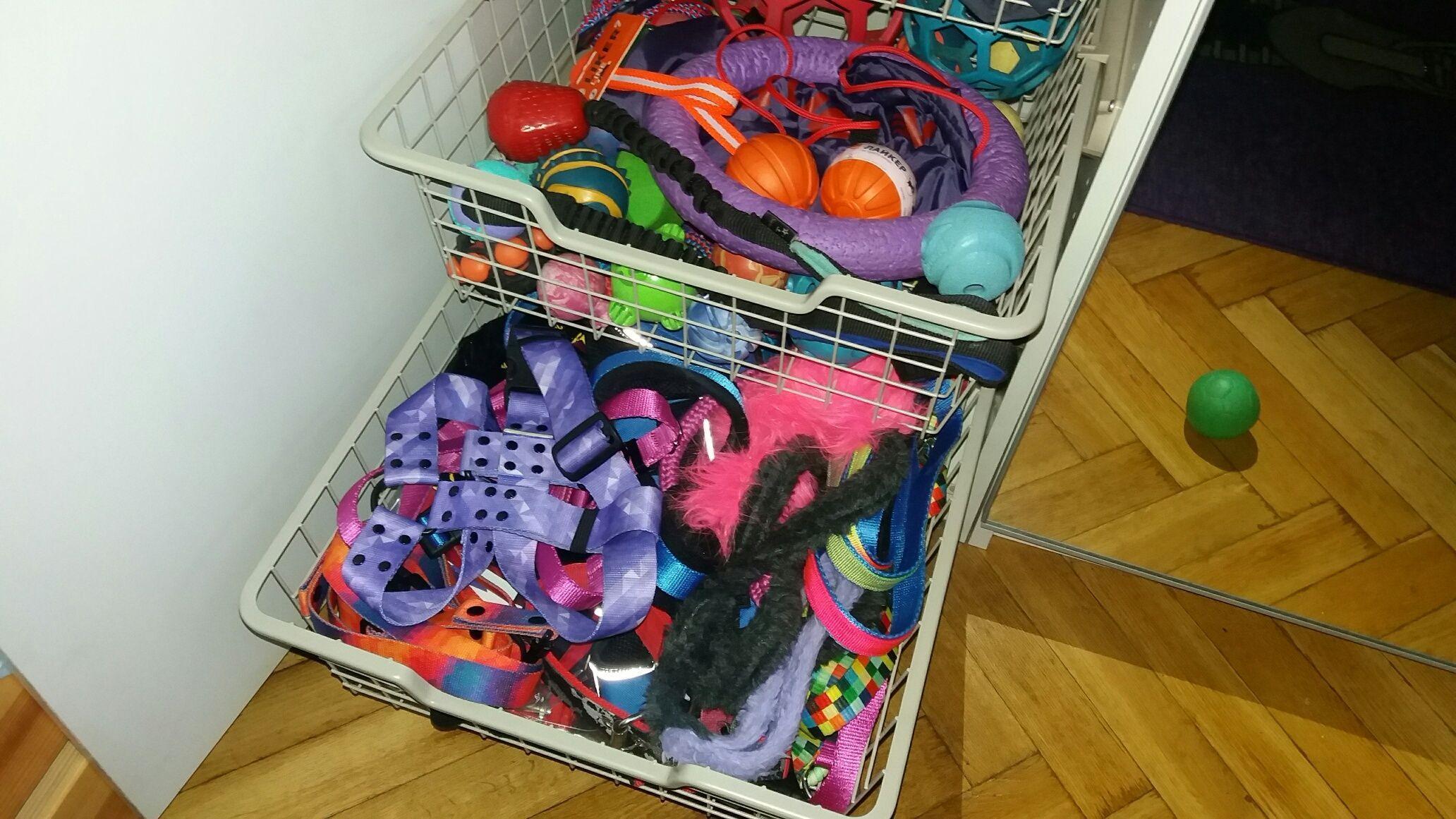 Przedświąteczne porządki w psiej szafie
