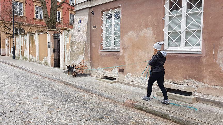 tropienie użytkowe