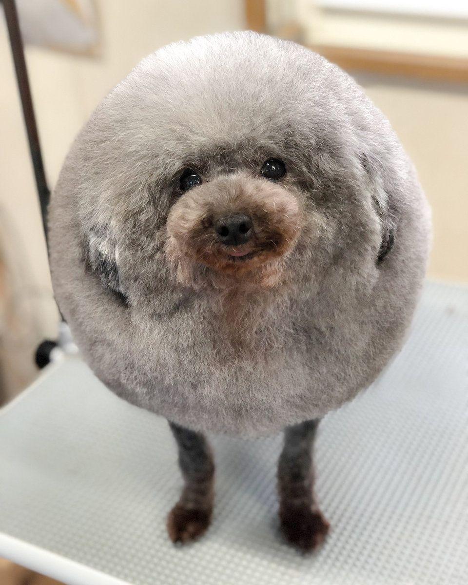 sesame
