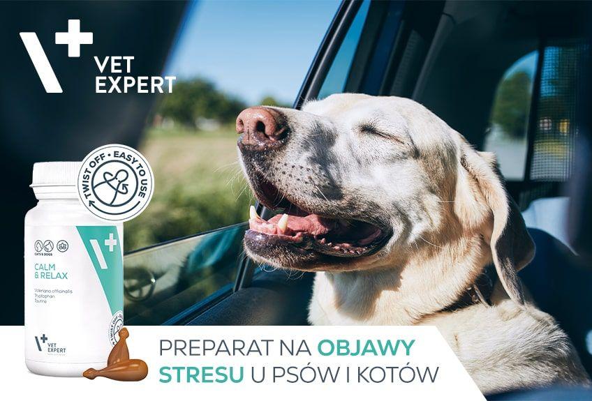 materiał partnera