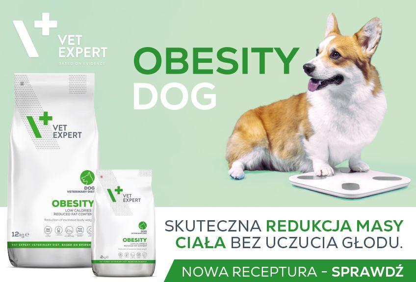 848x575_VE_Obesity.jpg
