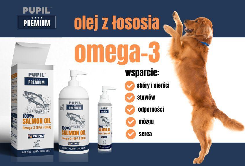co daje psu olej z łososia