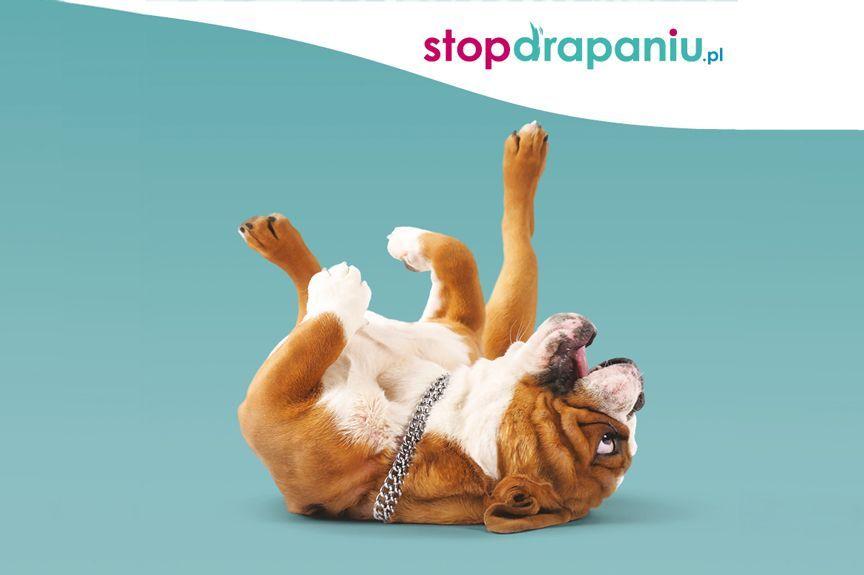 Drapanie