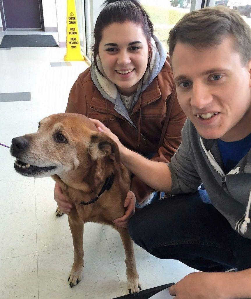 Rocky w dniu adopcji