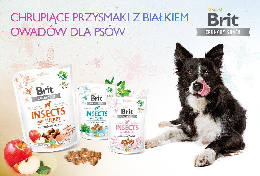 Brit Crunchy Snack