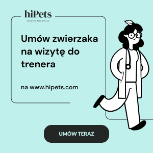 Baner hiPets trener umow wizyte.png