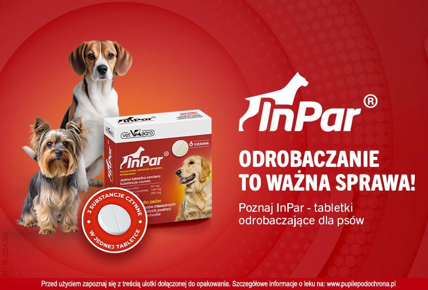 zarażenie pasożytami u psa