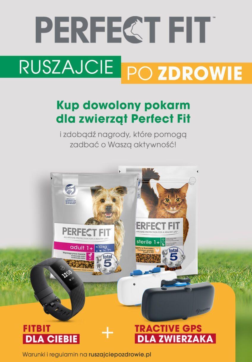 pies na pewno jest zdrowy