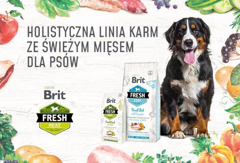 brit fresh suche