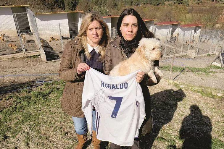 Koszulka z podpisem Ronaldo w schronisku