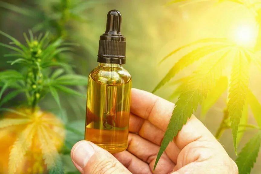 CBD dla psa