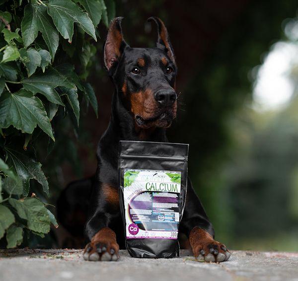 gamedog wapń