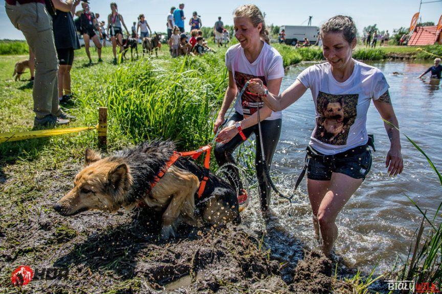 Zawody Hard Dog Race