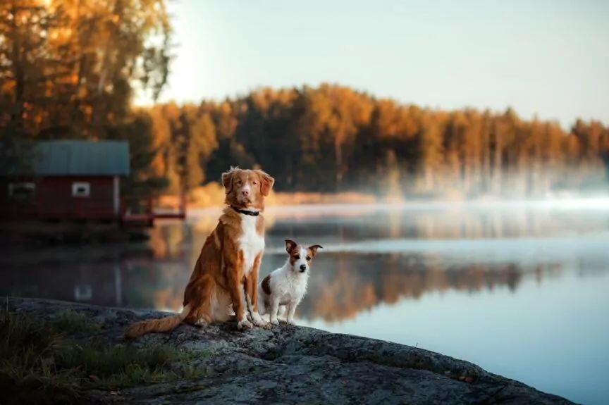 country&nature