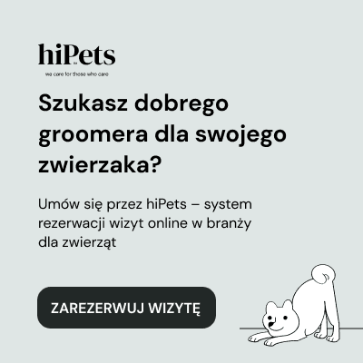 Groomer_baner_szary