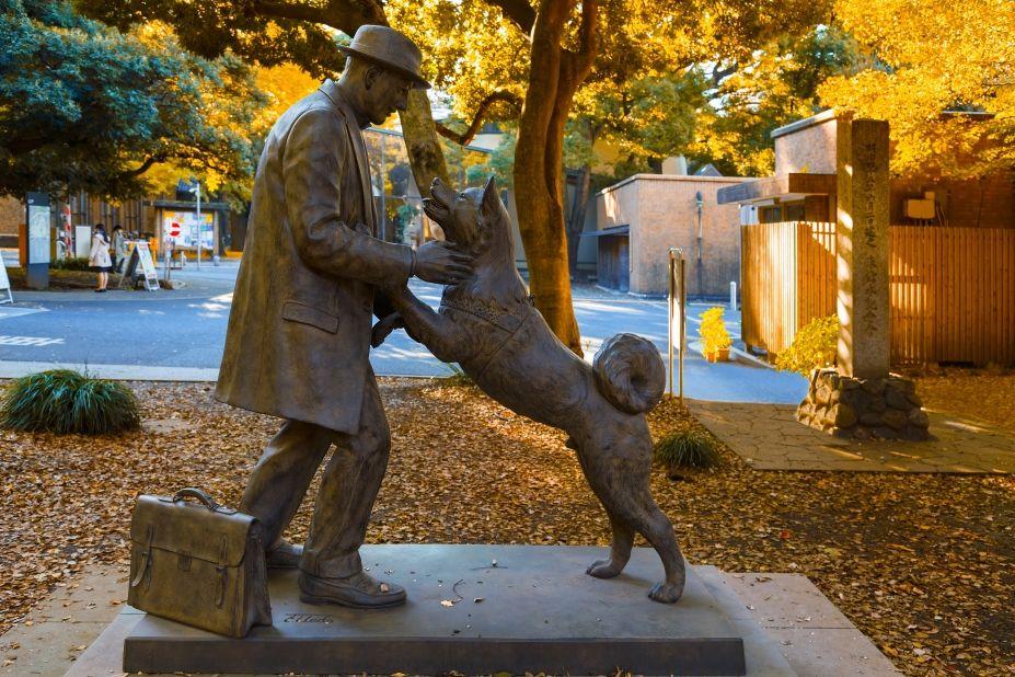Hachiko słynne pomniki psów