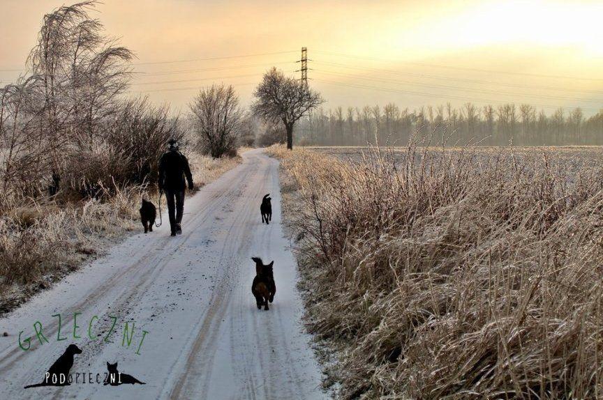 Śnieg