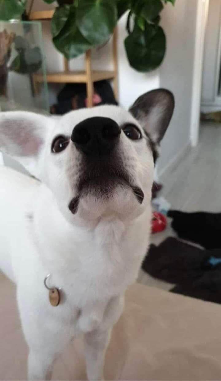 "