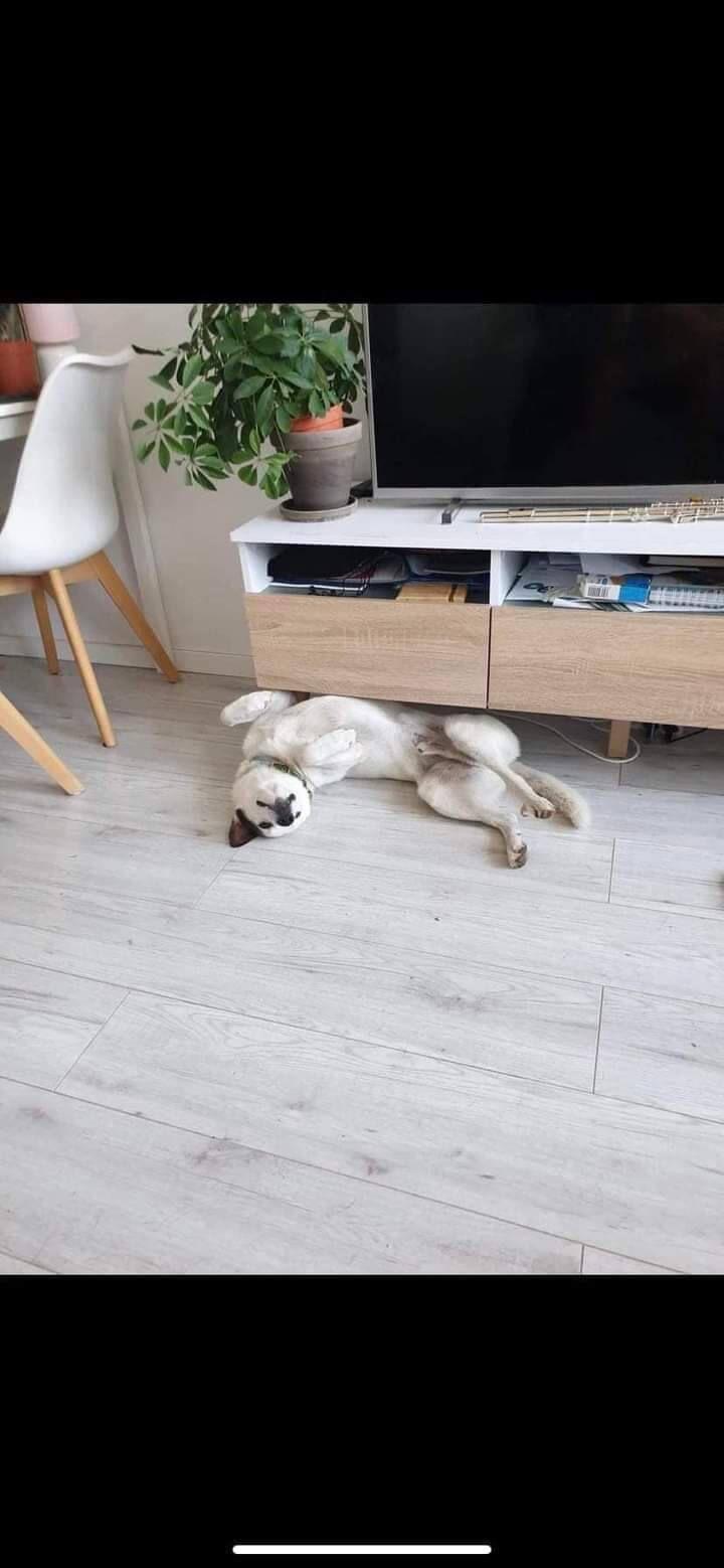 "