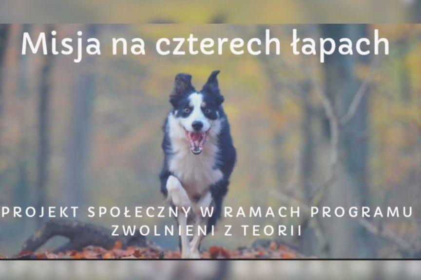 misja na czterech łapach