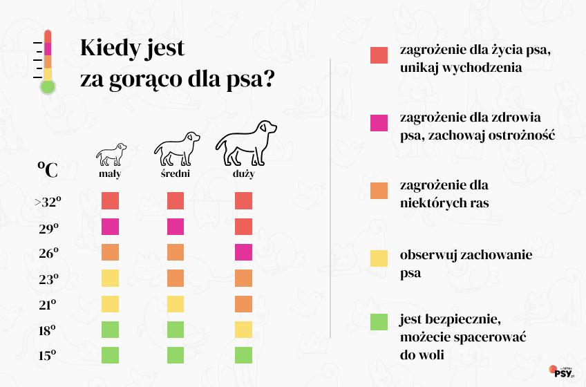 kiedy jest za gorąco dla psa