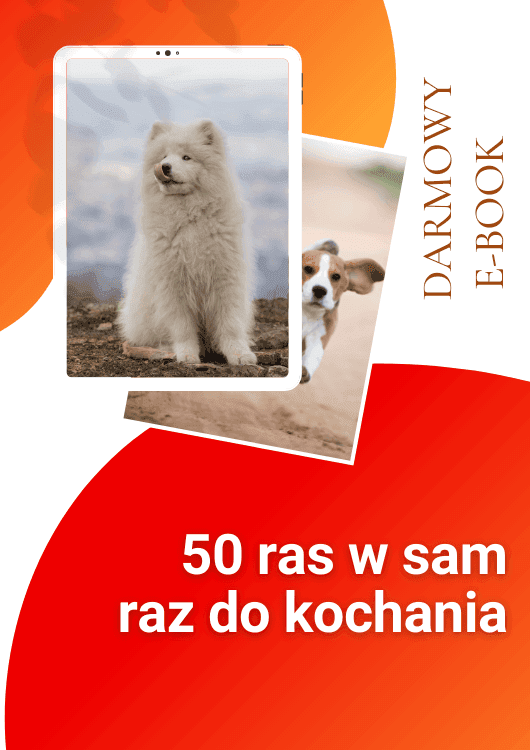Koty i Psy - E-booki