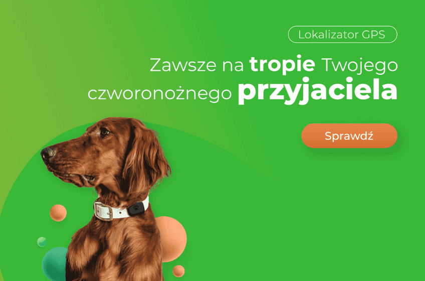 lokalizator gps logon