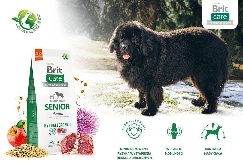 Brit Care Senior