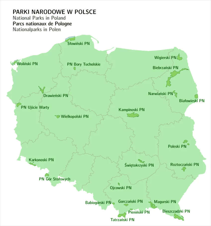 parki narodowe z psem