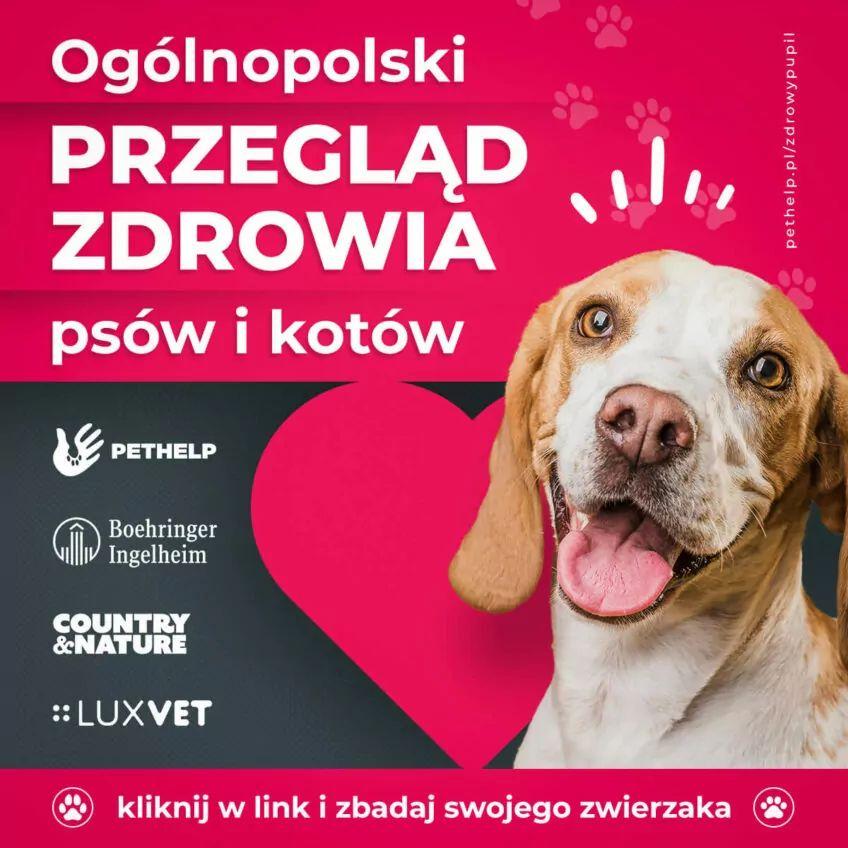 Ogólnopolski Przegląd Zdrowia Psów i Kotów