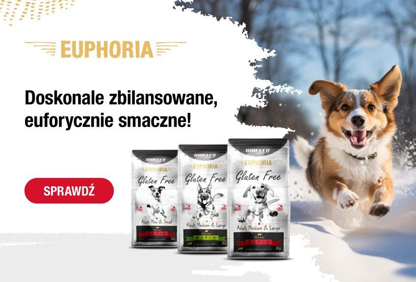 psy grafika Euphoria