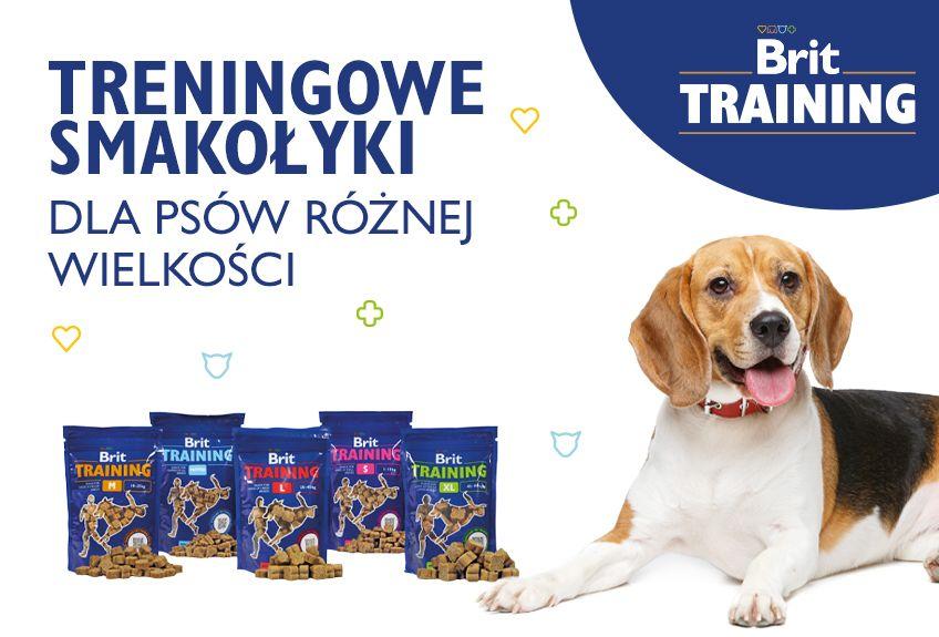 materiał partnera