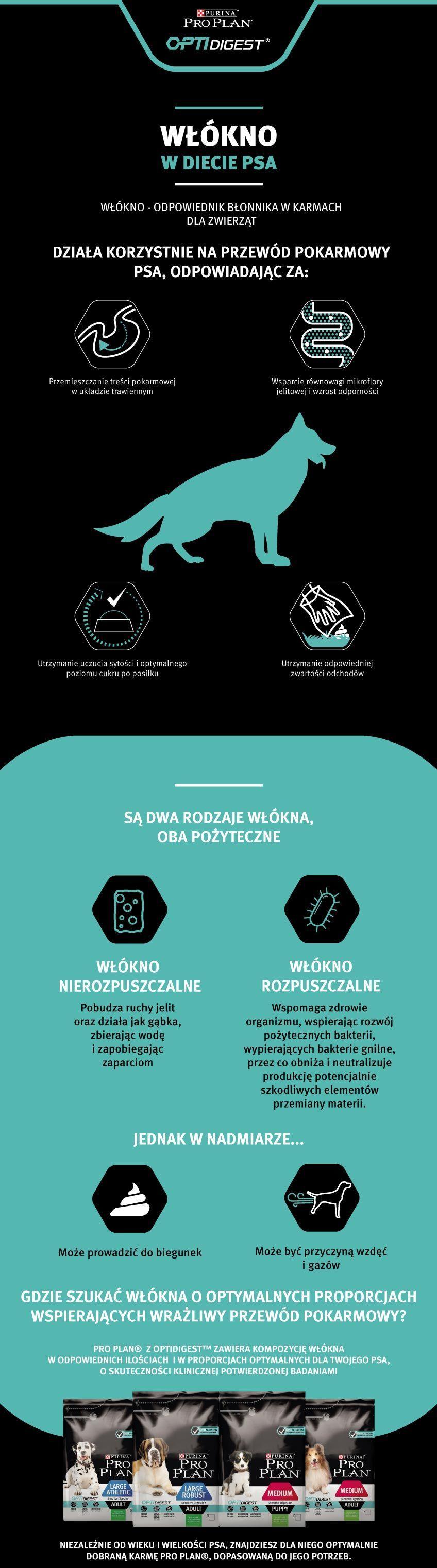 Infografika