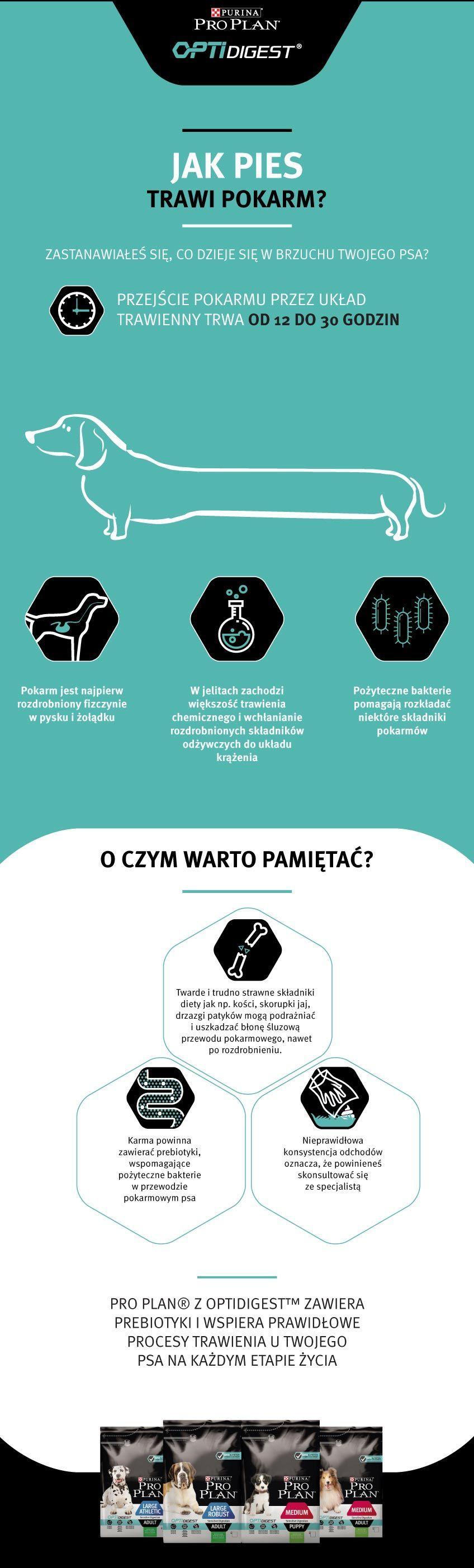 Infografika