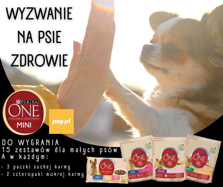 Wyzwanie na psie zdrowie