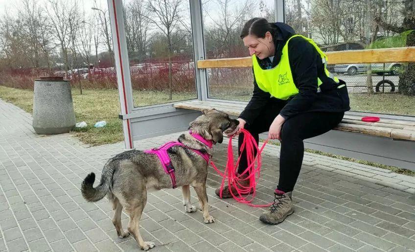 tropienie użytkowe warszawa