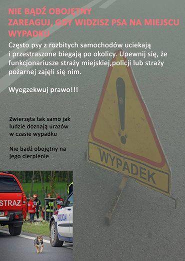 apel_powypadkowy_plakat.jpg