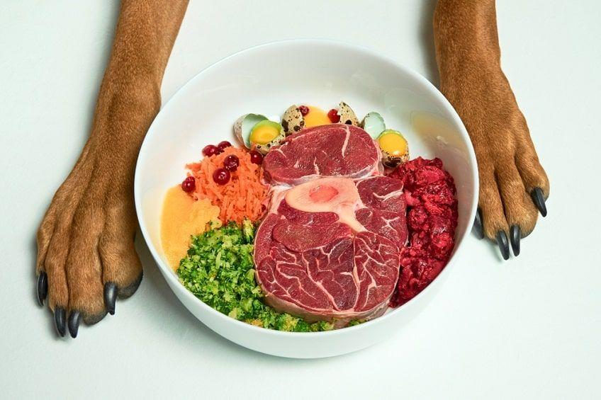 barf przepisy-min.jpg