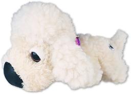 bichon_frise.jpg