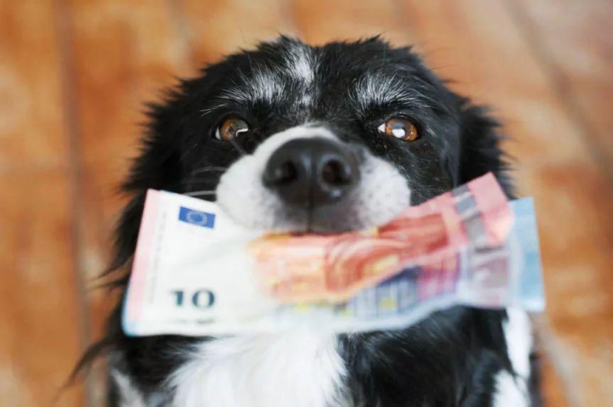 jak wydawać mniej pieniędzy