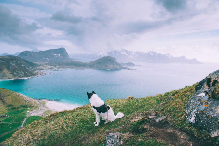 boredpanda-1-of-1-22__880.jpg