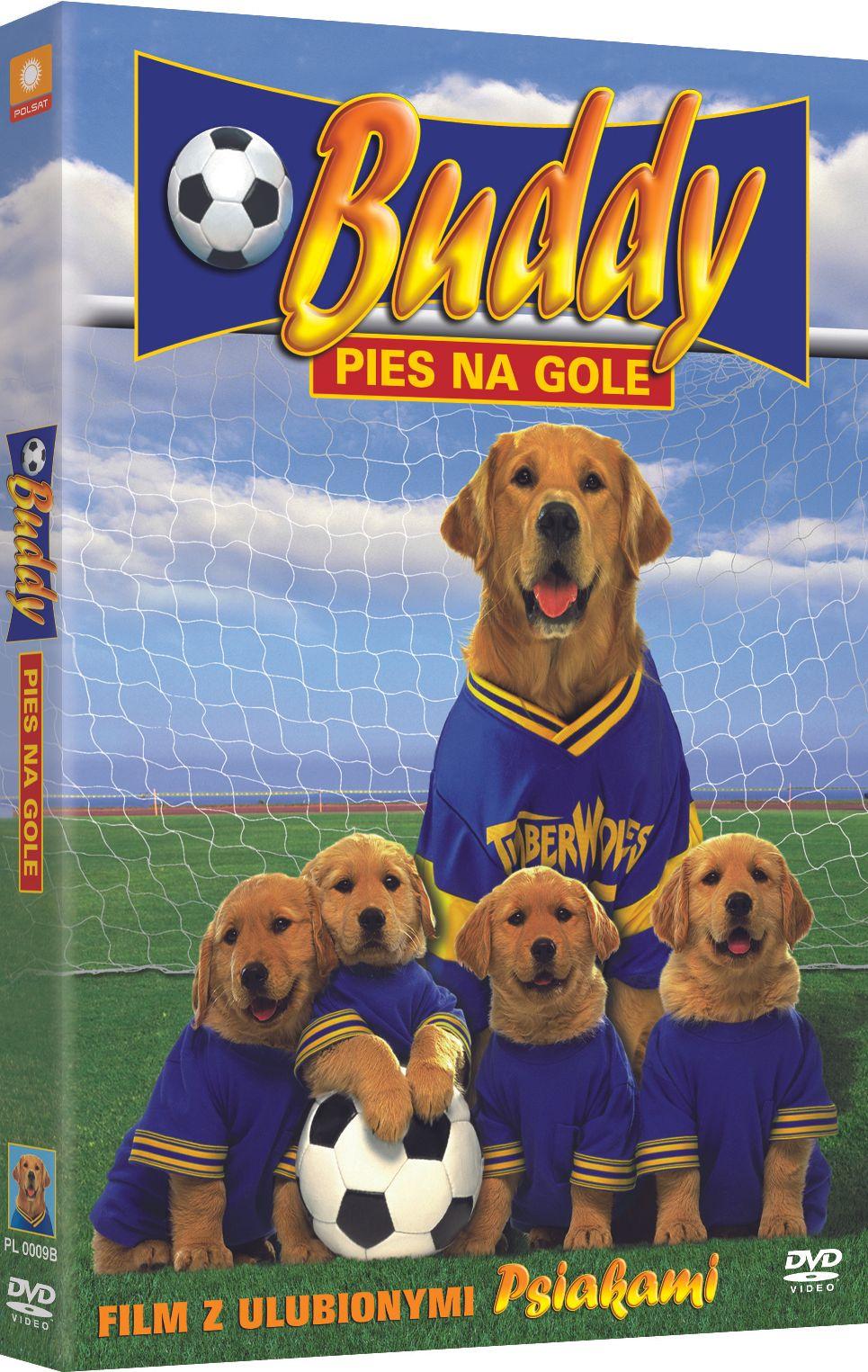 buddy_pies_na_gole_dvd_3d_druk.jpg