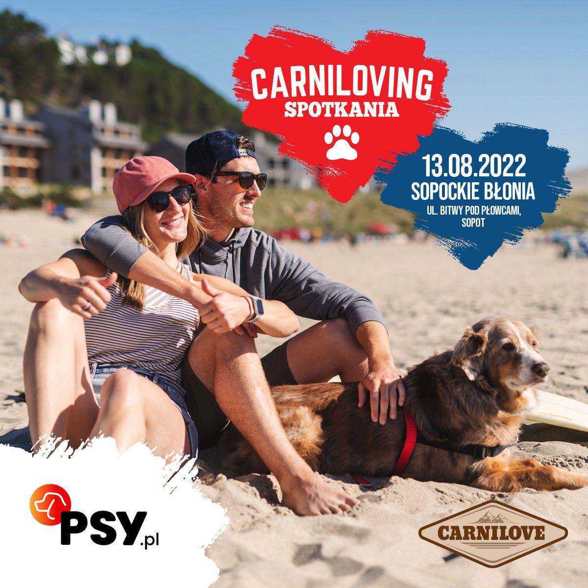 carniloving_fb_psy.jpg