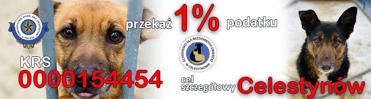 http://www.celestynow.toz.pl/jeden_procent.html