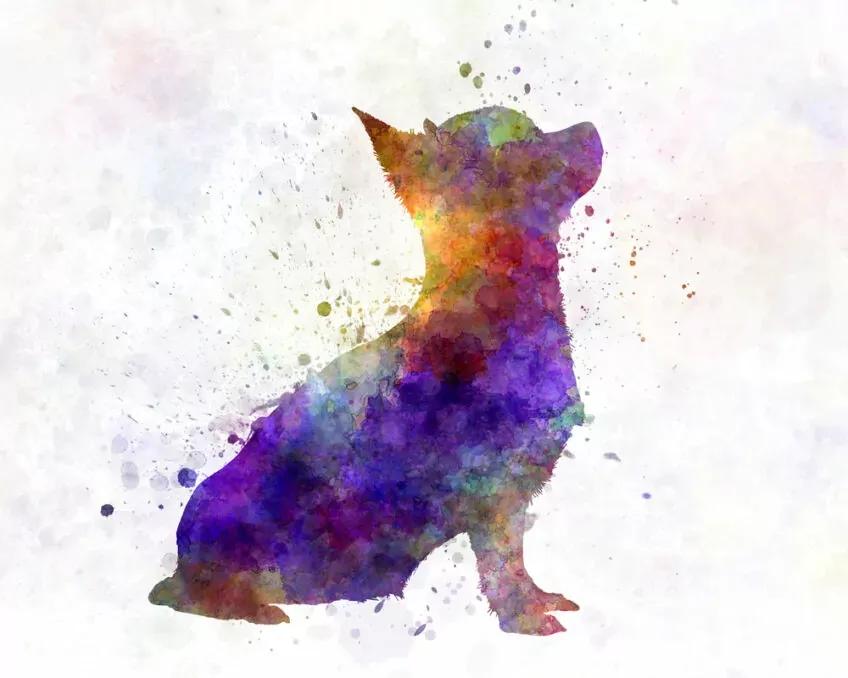 chi